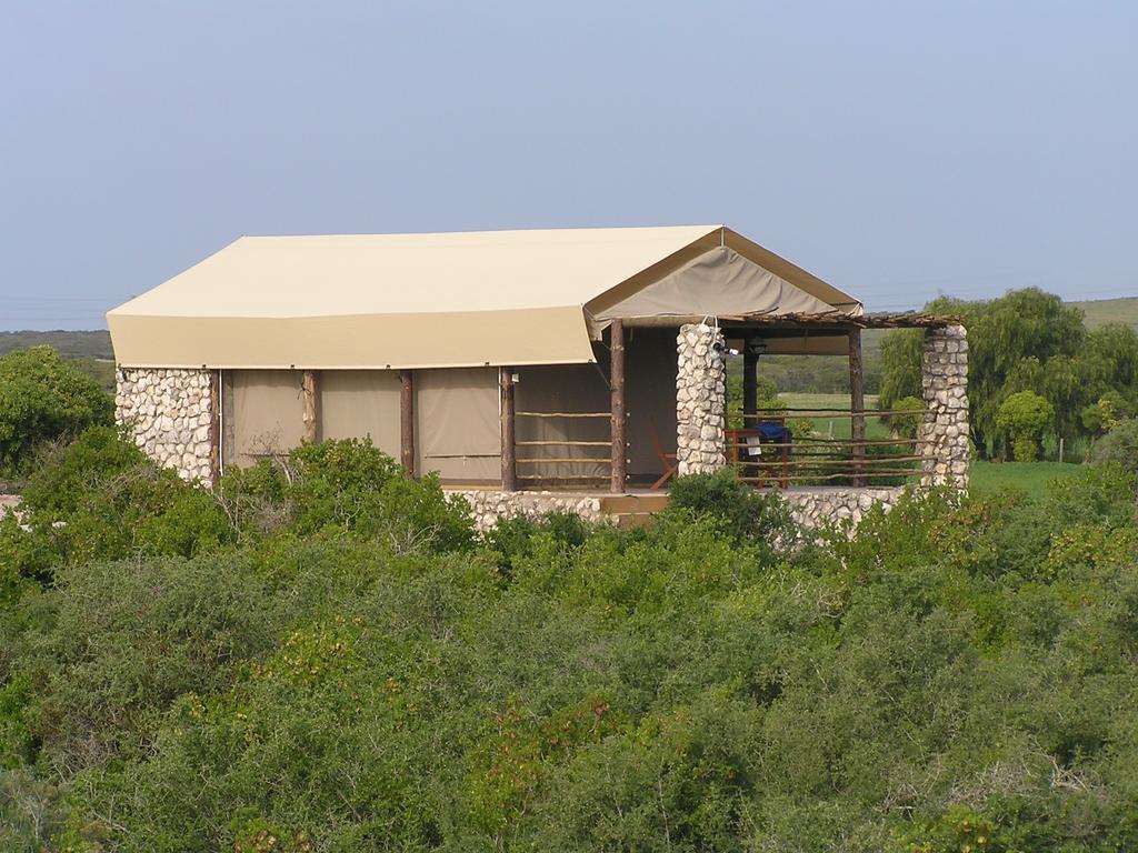 Thali Thali Game Lodge Langebaan Rum bild